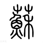 苏炳添末曾一心留队后续来了(苏炳添怎么了最新消息)